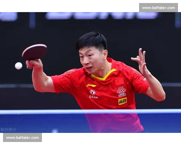 双满贯力挺新星!8 岁神童王奕博横空出世,国乒断档危机或迎转机 双满贯力挺新星!8 岁神童王奕博横空出世,国乒断档危机或迎转机