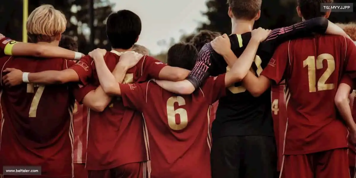 为什么选择我们